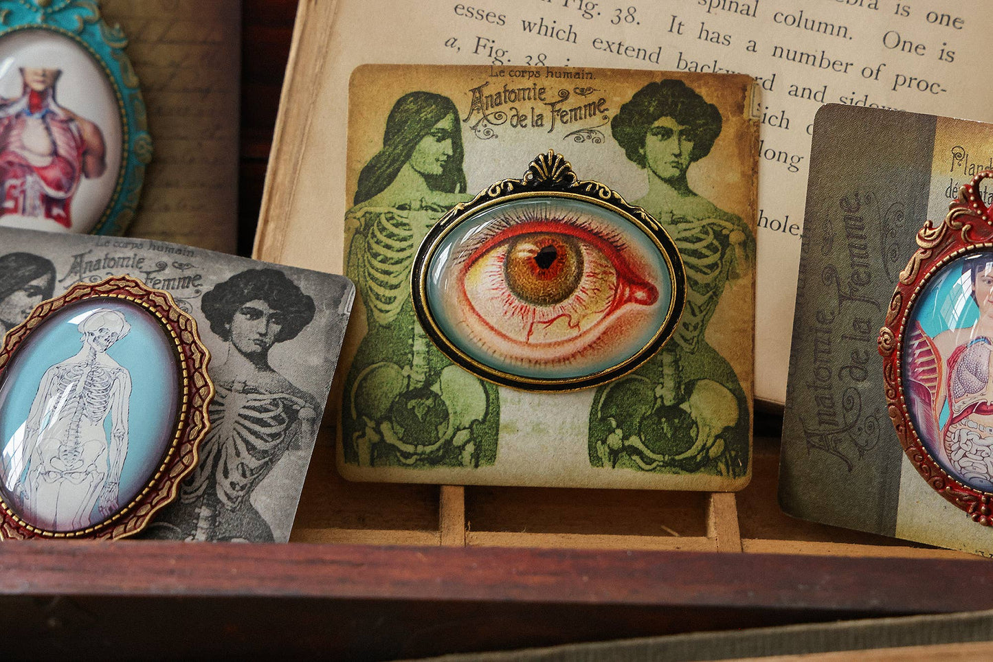 Handmade Vintage Anatomical Brooches