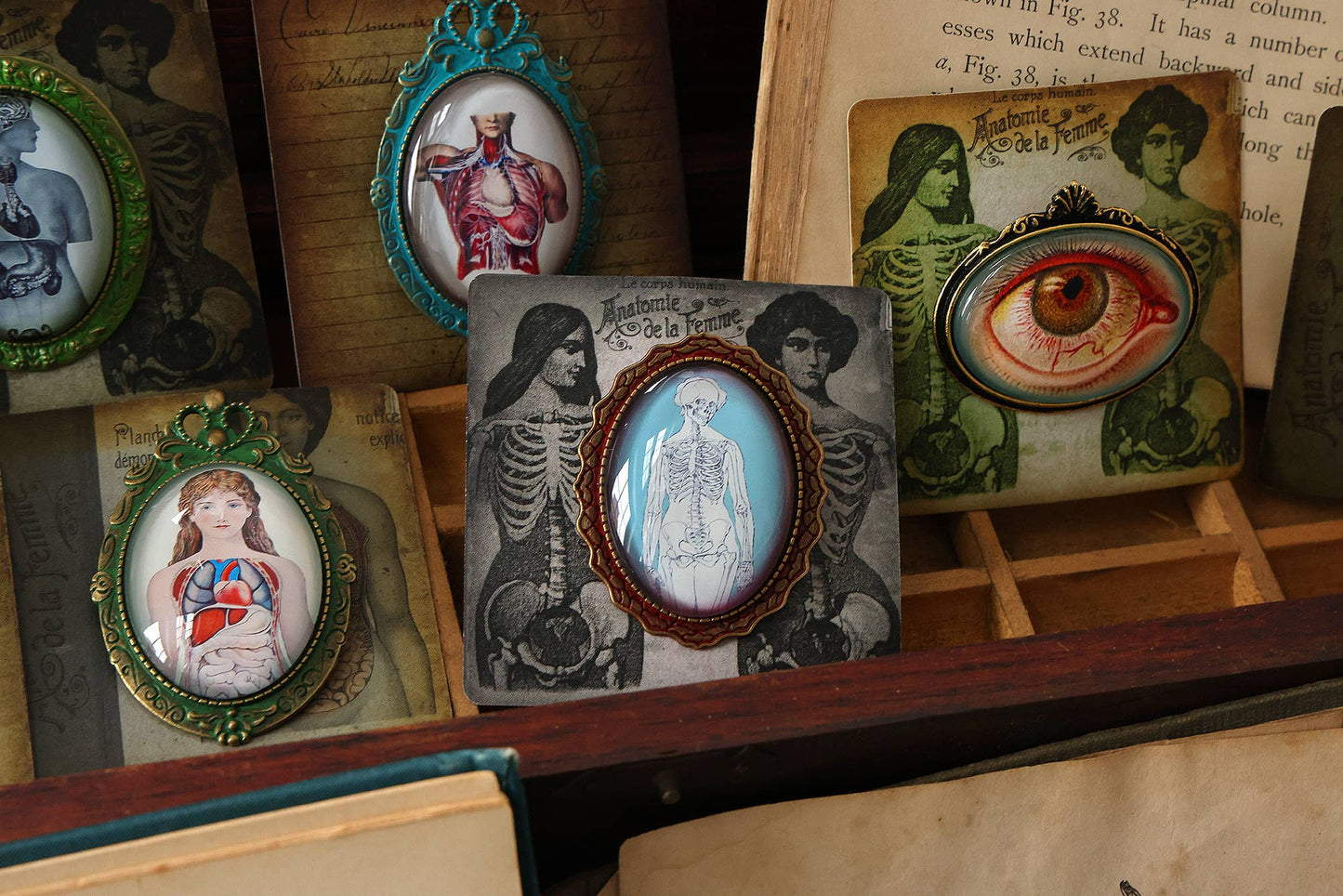 Handmade Vintage Anatomical Brooches