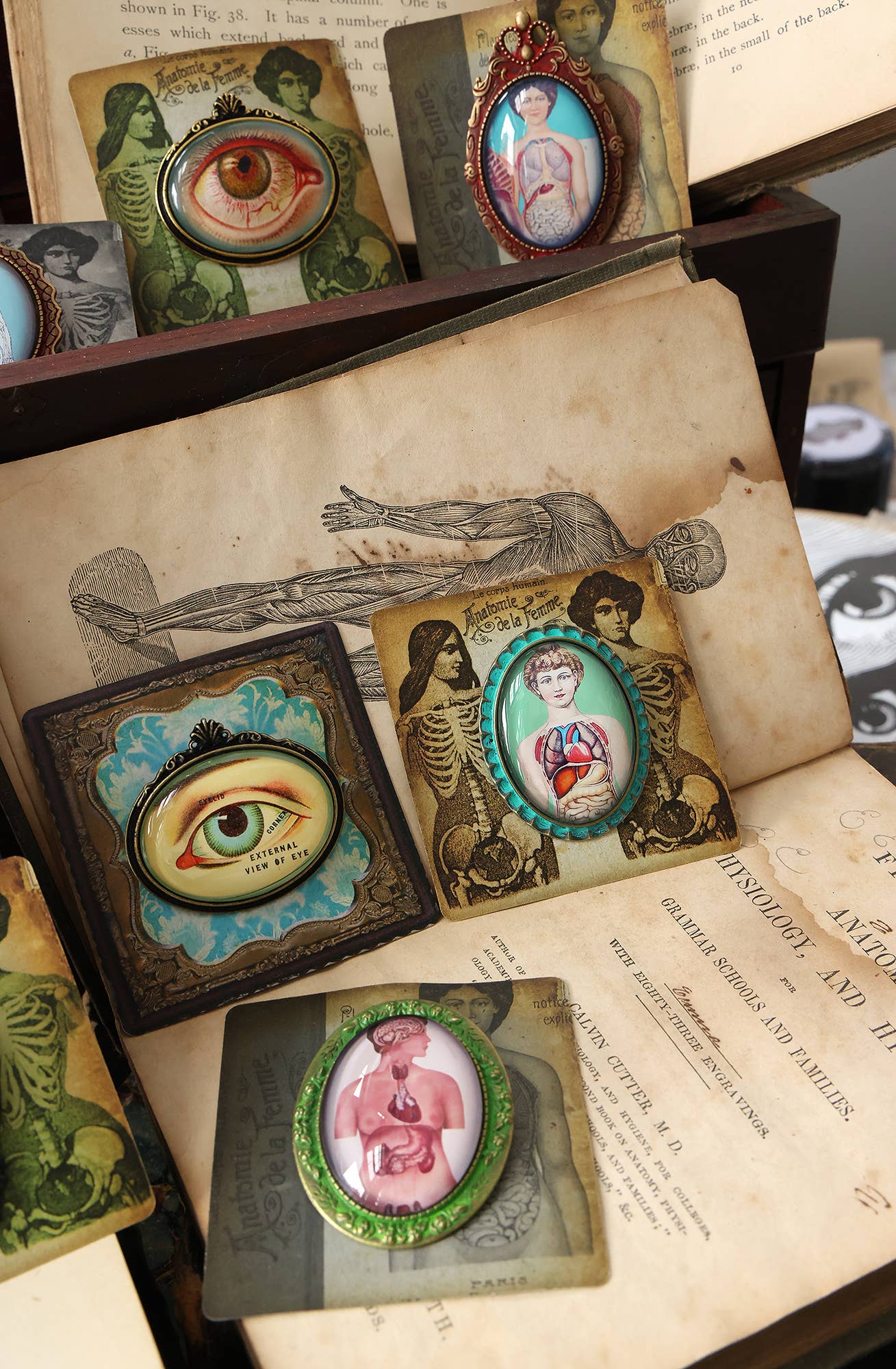 Handmade Vintage Anatomical Brooches