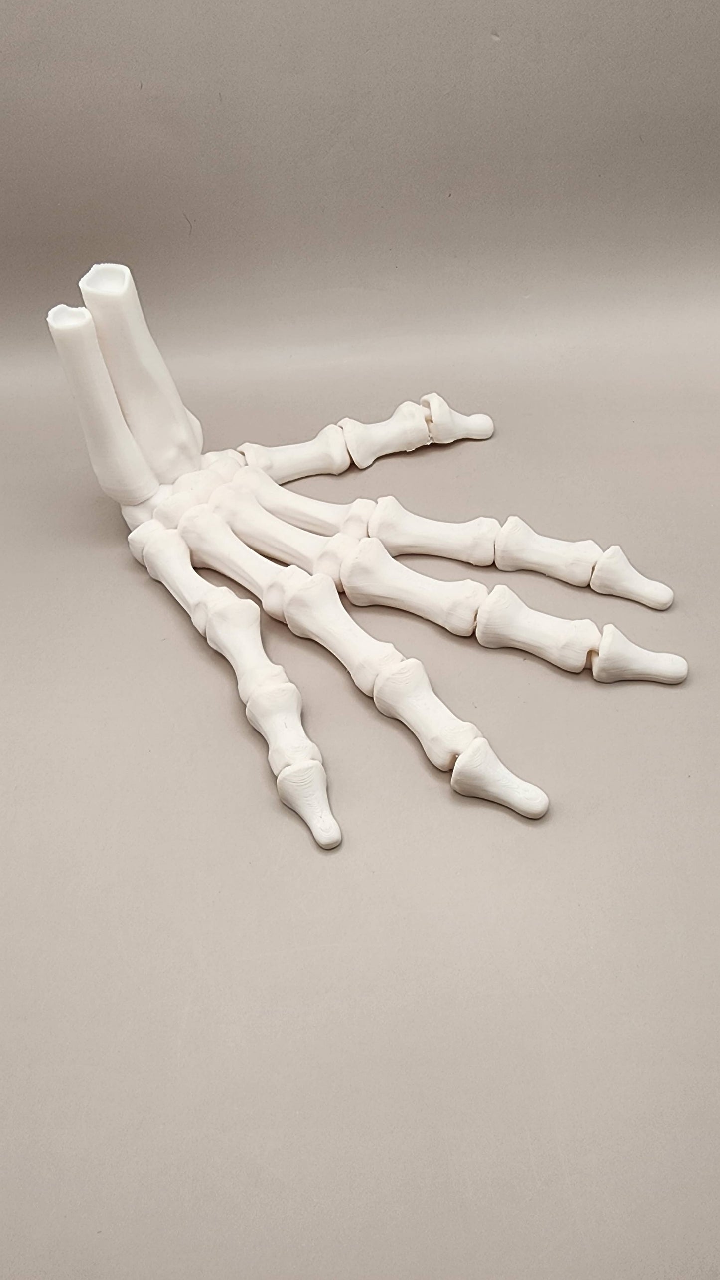 Moveable Skeleton Hand
