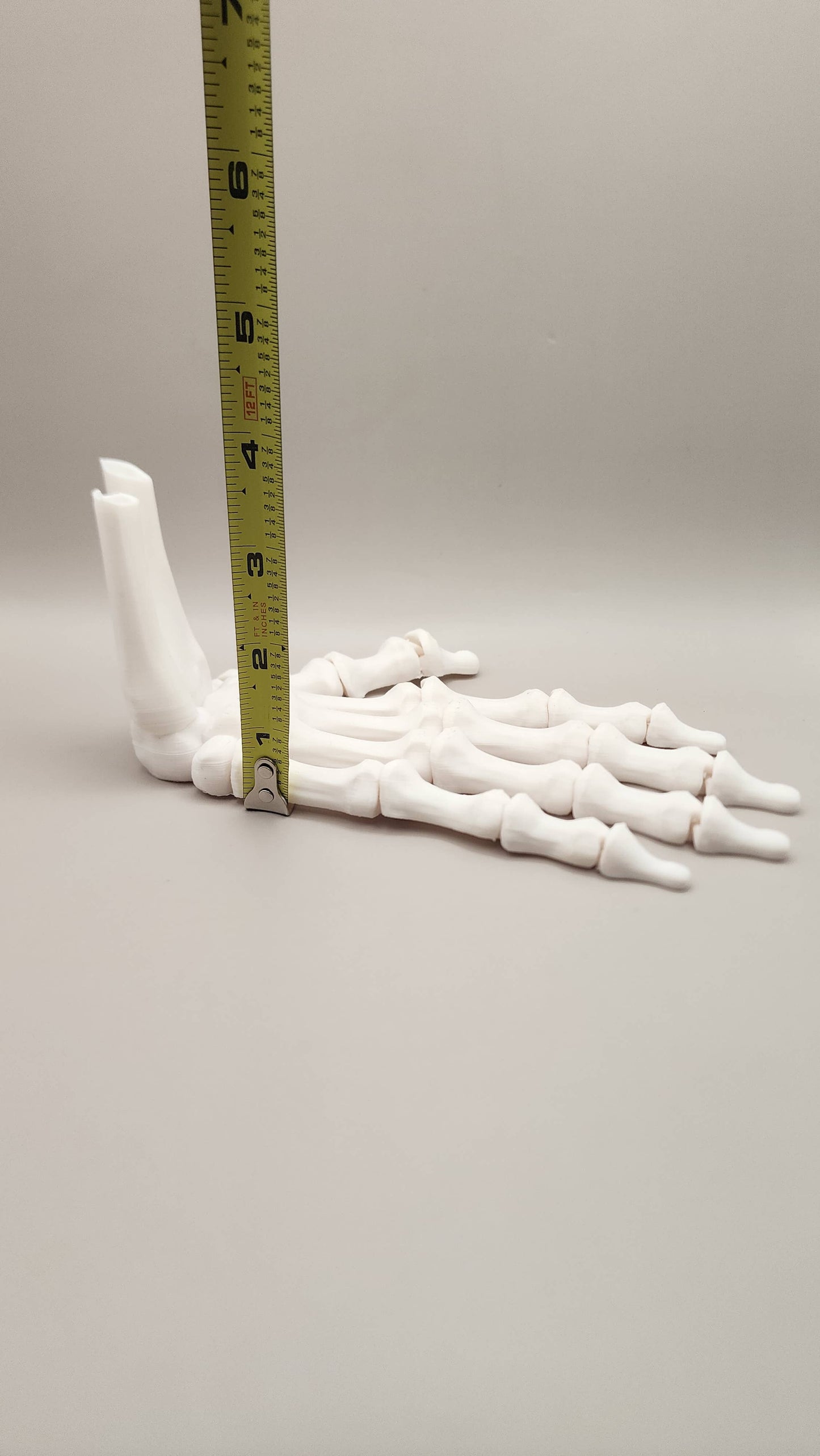 Moveable Skeleton Hand