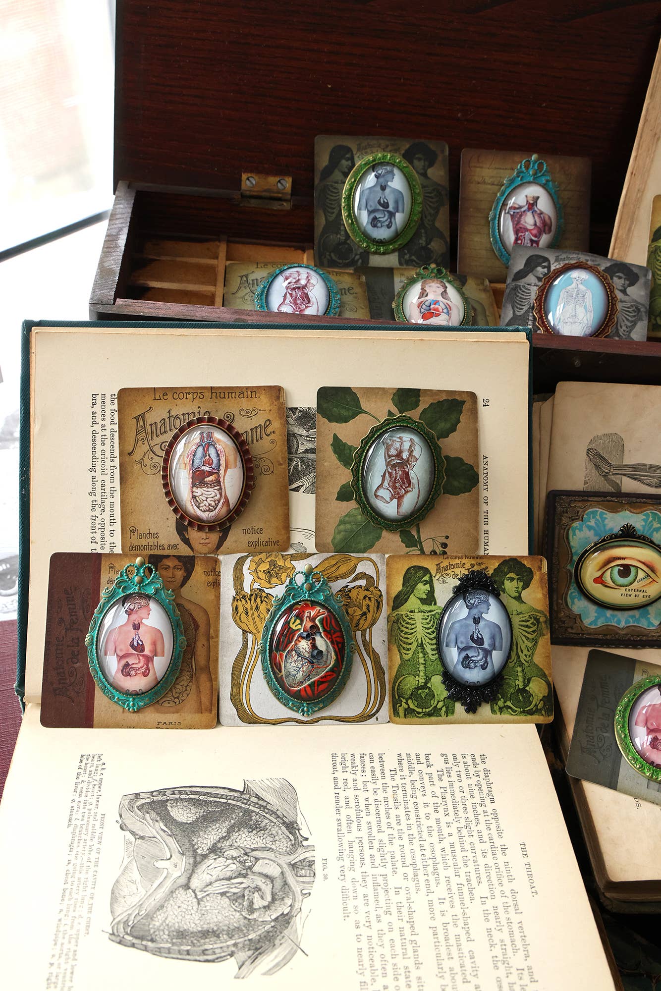 Handmade Vintage Anatomical Brooches