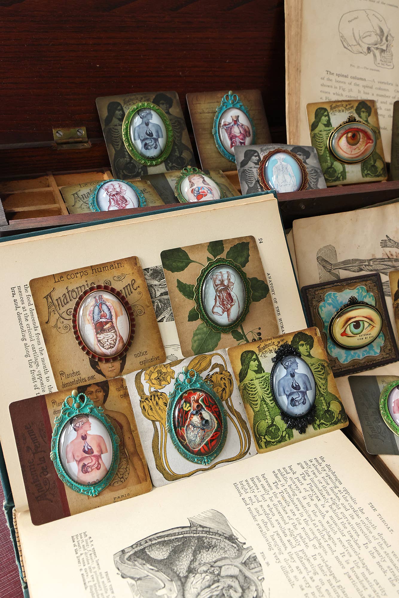 Handmade Vintage Anatomical Brooches