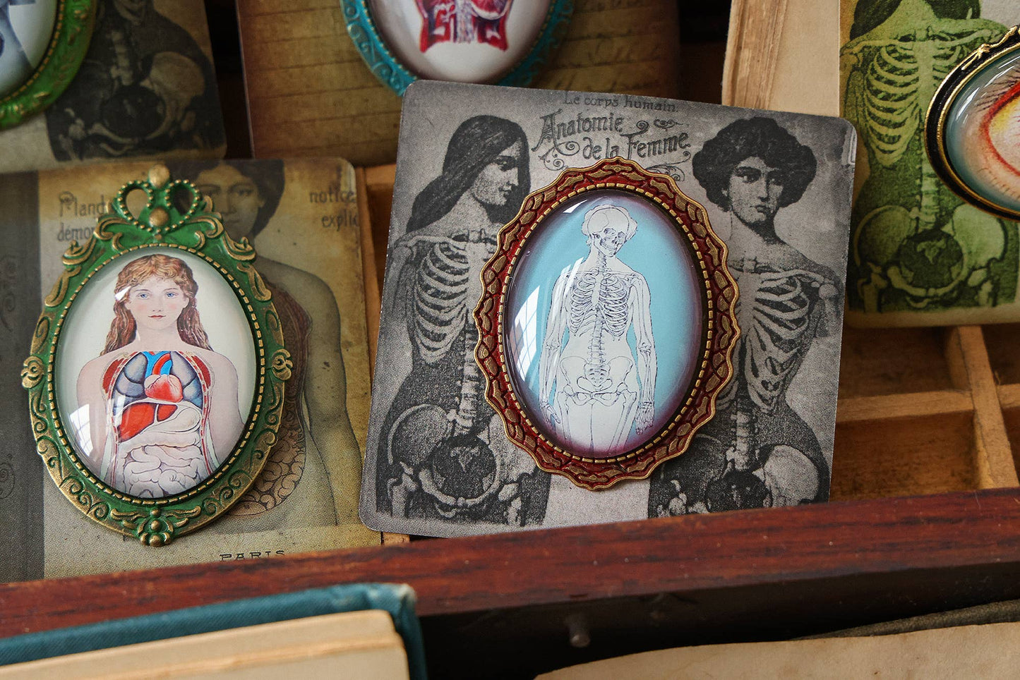 Handmade Vintage Anatomical Brooches