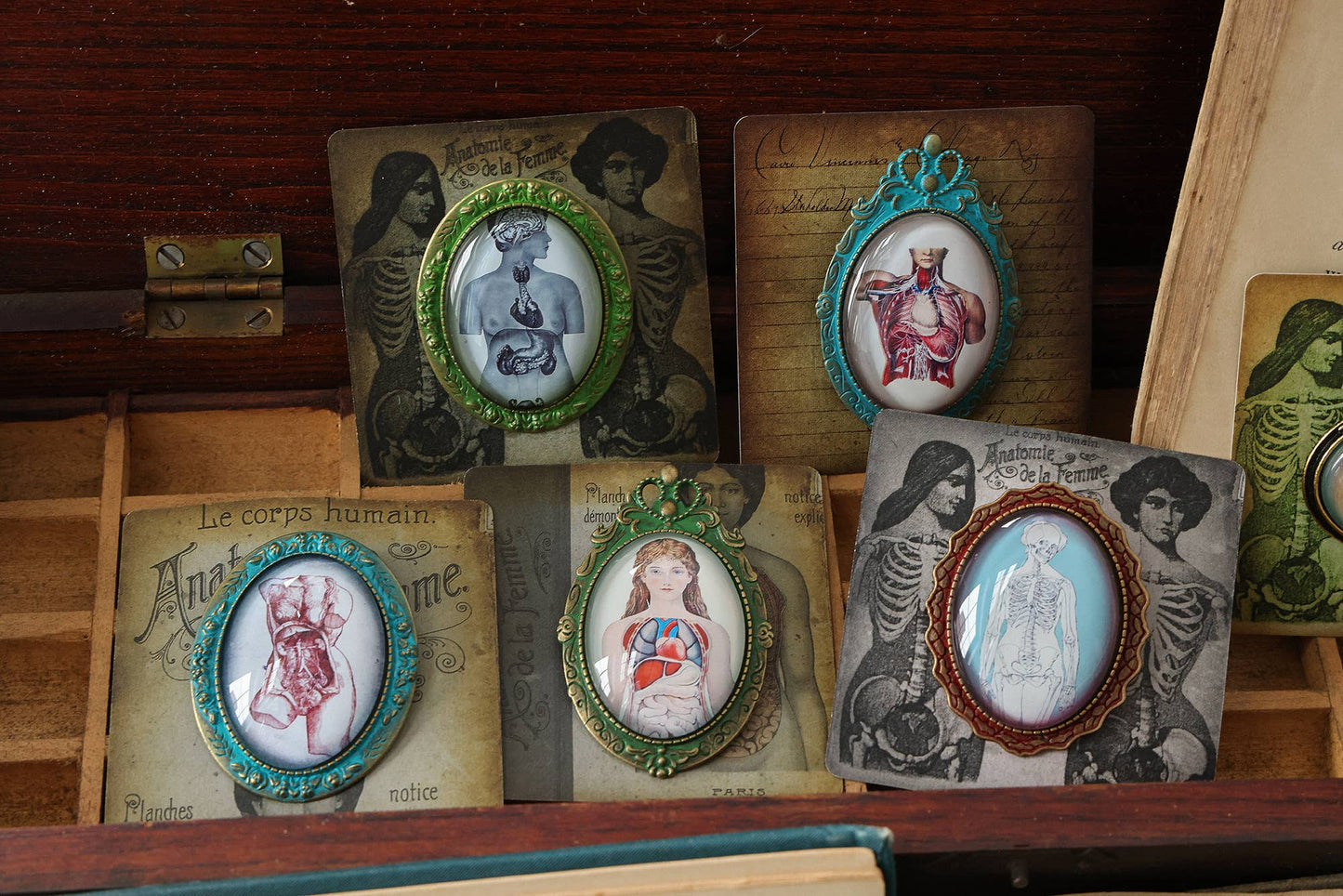 Handmade Vintage Anatomical Brooches