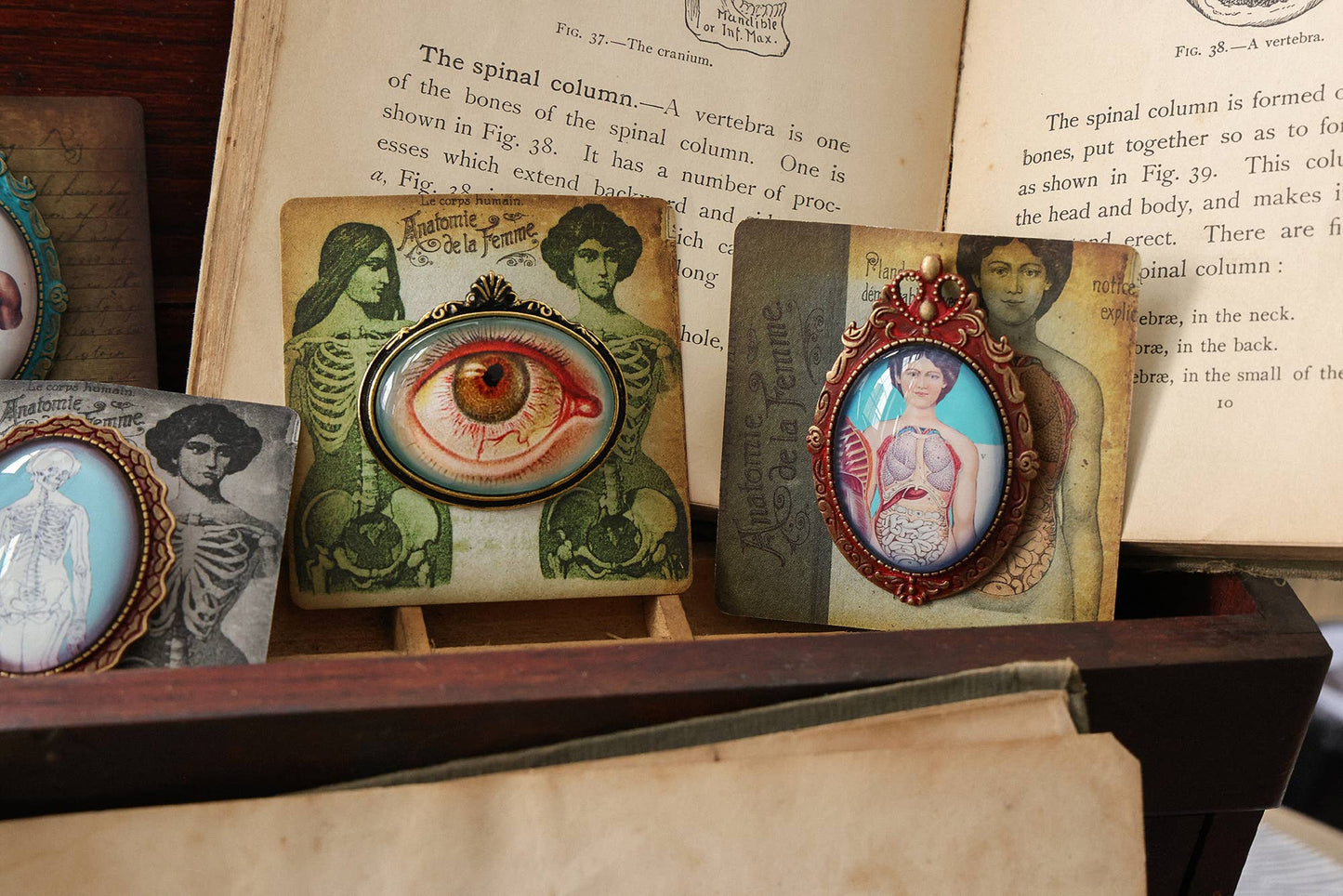 Handmade Vintage Anatomical Brooches