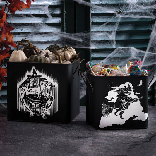 Flying Witch And Cat Bin Set