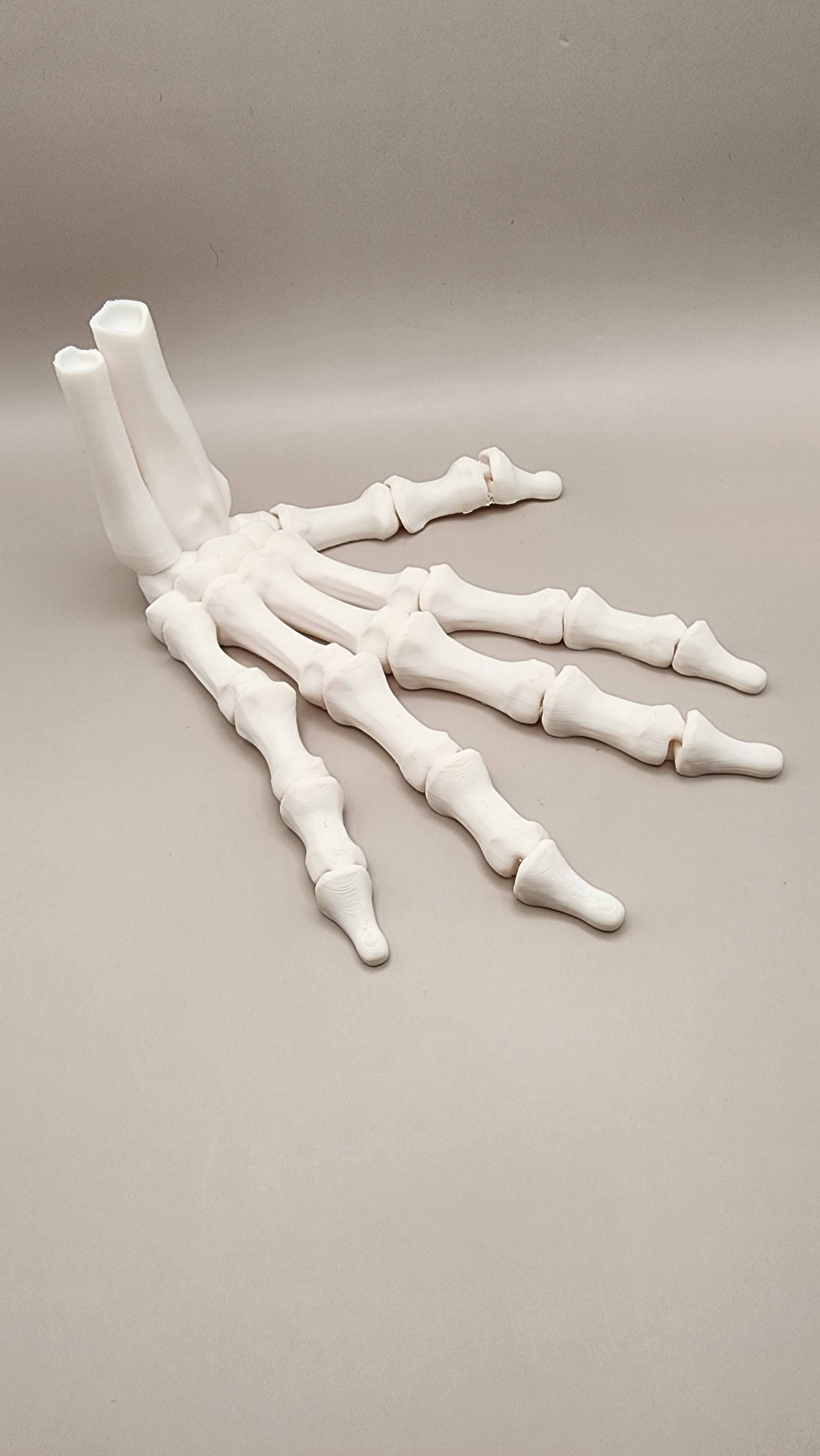 Moveable Skeleton Hand – Grimm Gifts